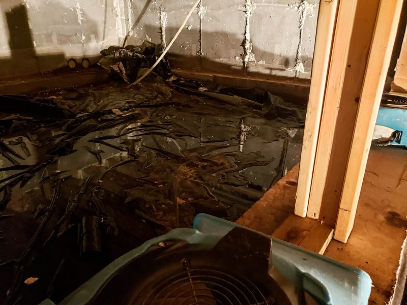 Basement Dehumidifier Service in Kansas City, MO